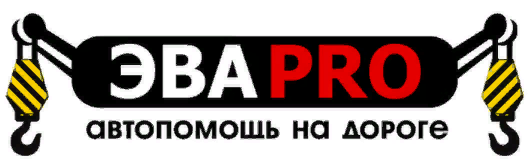 ЭВАPRO - Город Челябинск logo.png